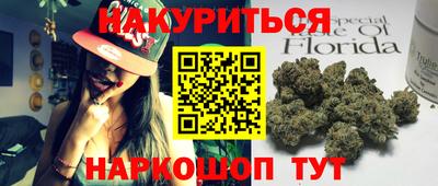 прущие крисы Кингисепп
