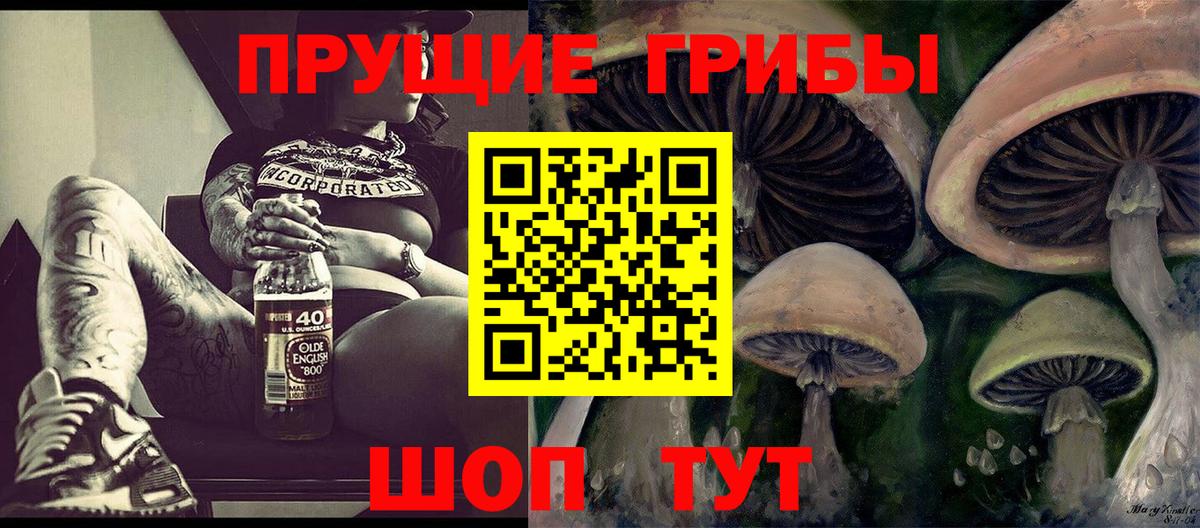 Качканар  Псилоцибиновые грибы Cubensis  Вход с VPN 